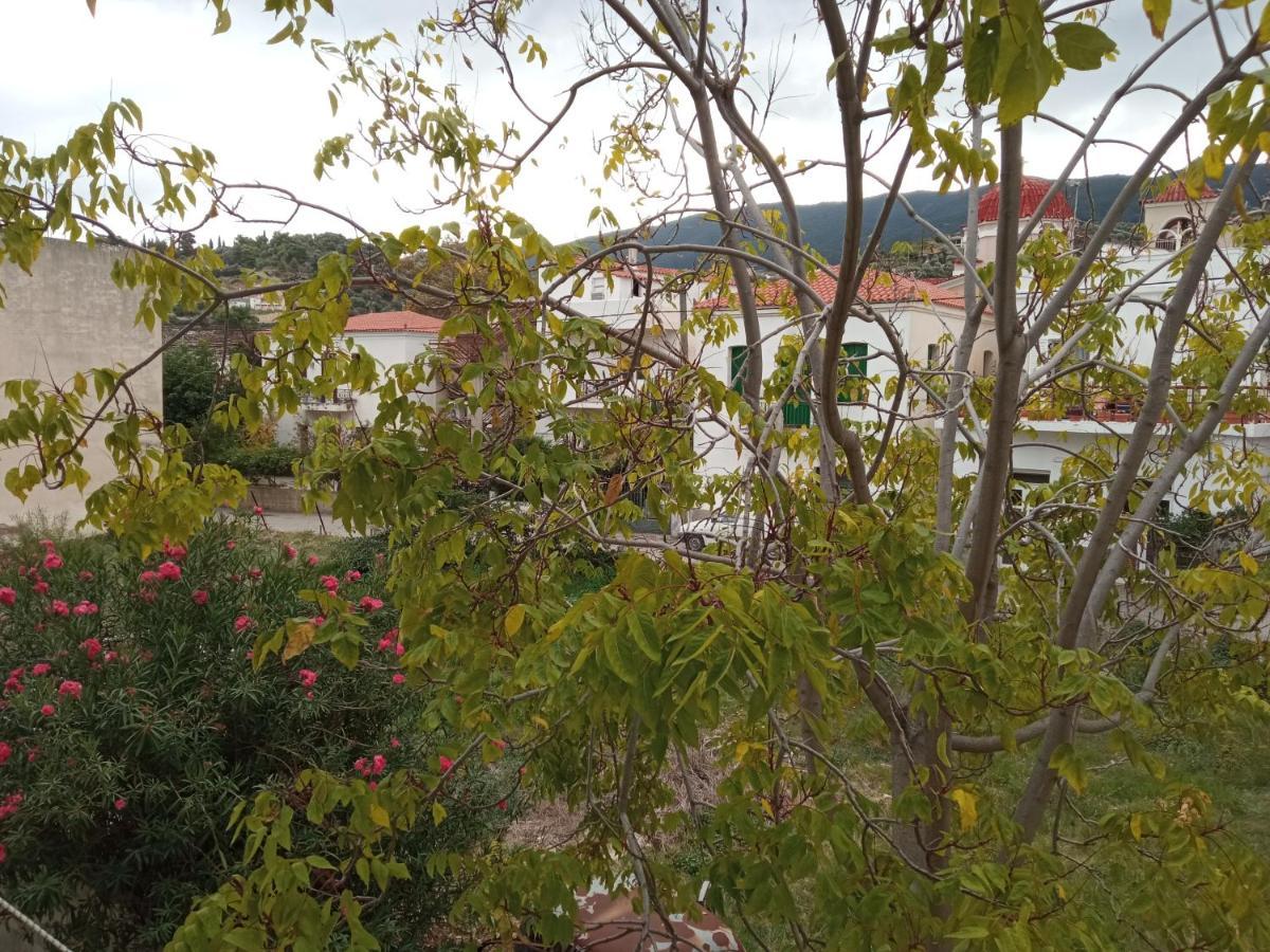 Bissias Guest House Galatás Екстериор снимка